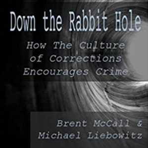 Down-the-rabbit-hole-book